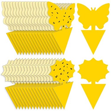 Fruit Fly Traps Fungus Gnat Traps Yellow Sticky Bug Traps 36 Pack No Harm and Odorless for Indoor Outdoor Use Protect The Plant