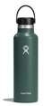 Hydro Flask Standard Flex Cap Fir 21 Oz