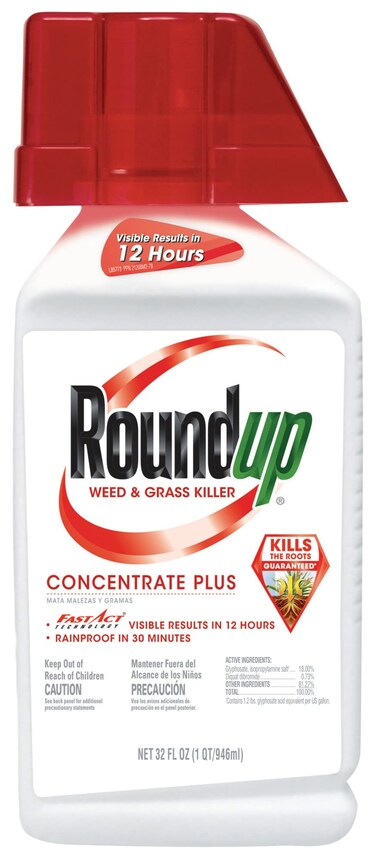 Roundup Weed &amp; Grass Killer Concentrate Plus