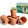 vensovo 4 Inch Terracotta Plant Pots with Saucer - 6 Pack Clay Flower Pots with Drainage, Great for Plants, Crafts, Wedding Favor