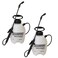 Chapin 16109 1-Gallon Home and Garden Sprayer, Translucent - 2 Pack