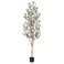Kazeila Artificial Olive Tree 6FT Tall Faux Silk Plant for Home Office Decor Indoor Fake Potted Tree with Wood Branches and Fruits