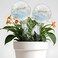 2 Pcs Iridescent Self Watering Globes, Glass Rainbow Plant Watering Globes, Self Watering Planter Insert, Automatic Plant Waterer Indoor, Plant Watering Devices, Plant Water Globes, Watering Bulb