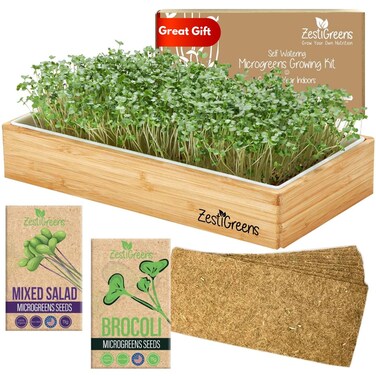 Self Watering Microgreens Growing Kit. Hands Down the Easiest Way to Grow Microgreens. Includes Microgreens Tray, Seeds, Mats, and Bamboo Surround. No Soil Needed. Easy Setup. (Salad &amp; Broccoli)