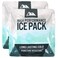 Titan Deep Freeze High Performance Ice Pack - (2 Pack) 250g - Long-Lasting, Puncture Resistant Cold Pack