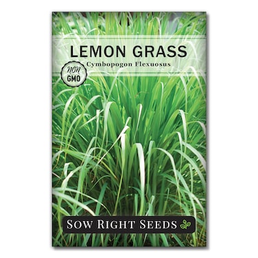 Sow Right Seeds - Lemon Grass Seed for Planting - Non-GMO Heirloom Packet with Instructions for Easy Planting and Growing an Herb Garden - Indoor or Outdoors - Delicious Culinary Herb (1)