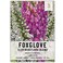 Seed Needs, Mixed Gloxiniaeflora Foxglove Seeds for Planting - Heirloom &amp; Open Pollinated Biennial Flowers - Perfect for Butterfly Gardens &amp; Insectaries (1 Pack)
