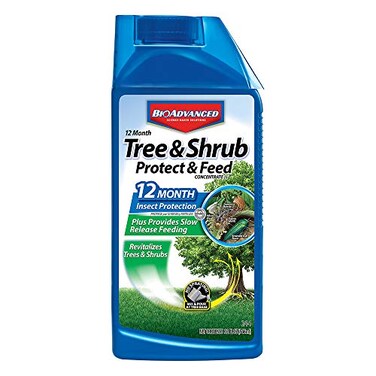 BioAdvanced 12-Month Tree and Shrub Protect and Feed Insect Killer and Fertilizer, 32-Ounce, Concentrate