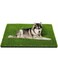 CooZero Artificial Grass, Professional Dog Grass Mat, Potty Training Rug and Replacement Turf Outdoor Rug Patio Lawn Decoration, Easy to Clean with Drainage Holes(47.3x31.5 inches)
