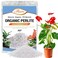Riare 2 Quarts Organic Perlite for Plants - Horticultural Perlite Soil Amendment for Plants Potting Mix, Natural Chunky Perlite Soil Additive Conditioner Improve Root Growth, Drainage and Ventilation