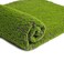 LIOOBO Artificial Moss Mat: Fake Grass Rug, Turf Plants Lichen, Artificial Lawn for Home Garden Patio DIY Decoration Coffee Point