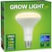 Briignite LED Grow Light Bulb, BR30 Grow Light Bulbs, Full Spectrum Grow Light Bulb 12W, 120W Equivalent, Plant Light Bulbs E26 Base, Grow Light for Indoor Plants, Seedlings, Greenhouse, 1 Pack