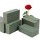 6 Pcs Floral Foam Blocks, 5.5"L x 3.1"W x 1.7"H Plant Foam, Green Dry &amp; Wet Flower Foam for Fresh or Artificial Flower Arrangements, Florist Foam for Wedding, Birthdays, Home Decorations