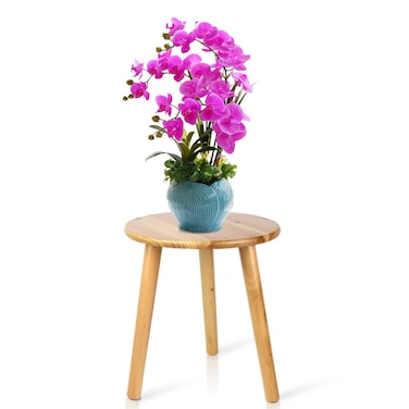 Ethuh Plant Stand - Wood Stool for Plant Small Plant Stand - Plant Table Mid Century Plant Stand and Tall Plant Holder for Flower Pots Indoor Plant Stand Brown Solid Wood (12 inches Wood)