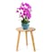 Ethuh Plant Stand - Wood Stool for Plant Small Plant Stand - Plant Table Mid Century Plant Stand and Tall Plant Holder for Flower Pots Indoor Plant Stand Brown Solid Wood (12 inches Wood)