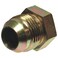 Apache Female Connector - 1/2in. M JIC37 x 1/2in. F NPTF