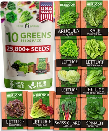 5,000+ Heirloom Lettuce Seeds for Planting Indoors - 95% Germination, Non-GMO Greens Seeds, (10 Varieties): Kale, Spinach, Butter, Romaine, Arugula &amp; More - Lettuce Seeds for Hydroponic Home Garden