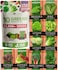 5,000+ Heirloom Lettuce Seeds for Planting Indoors - 95% Germination, Non-GMO Greens Seeds, (10 Varieties): Kale, Spinach, Butter, Romaine, Arugula &amp; More - Lettuce Seeds for Hydroponic Home Garden