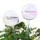 [2 PCS] Light Iridescent Rainbow Gradient Color Clear Glass Self-Watering System Spikes, Automatic Plant Waterer Bulbs