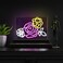 JONATHAN Y NEN1027A Crowd of Roses 15" X 10.3" Contemporary Glam Acrylic Box USB Operated LED Neon Light, Pink/White/Yellow