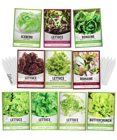 Gardeners Basics, Salad Greens Lettuce Seeds Heirloom Vegetable Seed 23,000 Seeds for Planting Indoors and Outdoor 10 Packs - Buttercrunch, Romaine, Iceberg, (and More) Leaf and Head Variety Pack