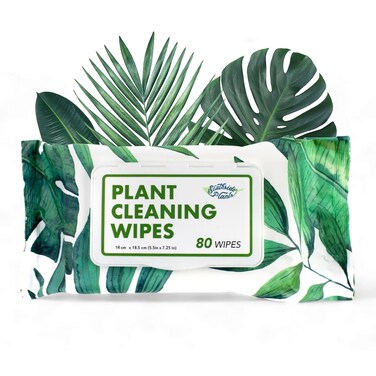 Plant Cleaning Wipes by Southside Plants - Gentle, Plant-Based Wipes for Shiny Leaves and Better Photosynthesis - Unscented, Extra Thick Waffle Weave Leaf Wipes for Indoor &amp; Outdoor Plants - 80 Ct