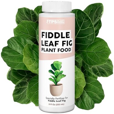 Fiddle Leaf Fig Plant Food for All Fig and Other Ficus Trees, Liquid Houseplant Fertilizer 8 oz (250mL)