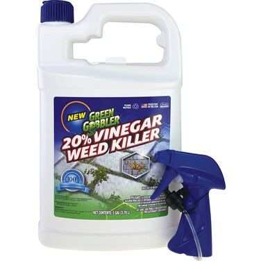 Green Gobbler 20% Vinegar Weed &amp; Grass Killer   Natural &amp; Organic   Concentrated   1 Gallon Spray   Glyphosate Free Herbicide
