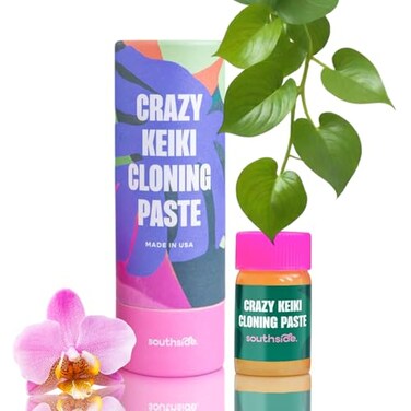 Keiki Cloning Paste by Southside Plants - Miracle Growth for Orchids &amp; Houseplants - Generate New Life with Cytokinin, Hormones &amp; Vitamins - 0.25oz