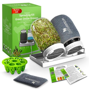 Premium Sprouts Growing Kit &amp; Green Onion Regrower with 2 Mason Jars &amp; Superior Sprout lids. Perfect Sprouter Set for Growing Broccoli, Alfalfa &amp; Beans.