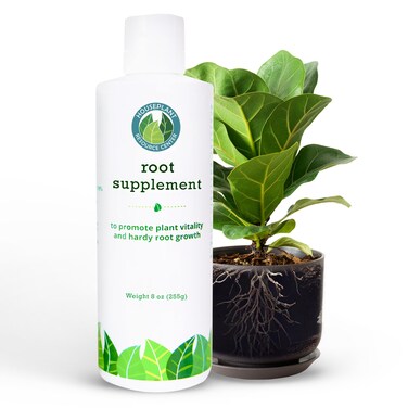 Houseplant Resource Center - Root Supplement, Liquid Root Stimulator - for Fiddle Leaf Fig &amp; Indoor Plants - Propagation Promoter, Root Rot Treatment - Food for Healthy Roots, Stems, &amp; Leaves - 8 Oz