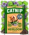 HOME GROWN Catnip Seeds (Bulk Pack) Non-GMO Heirloom Herb Seeds - Indoor or Outdoor Seed - High-Germination Cat Nip - Cat Safe Plants (Nepeta cataria)