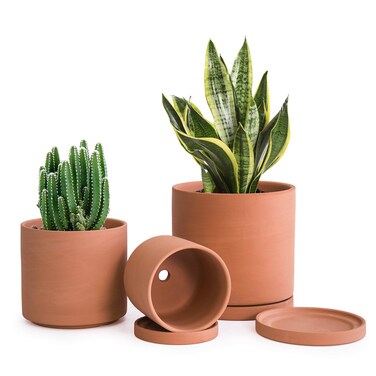 D'vine Dev Terracotta Pots for Plants, 4.2 Inch 5.3 Inch 6.5 Inch, Succulent Planter Pot with Drainage and Saucer, 40-T-A-0