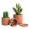 D'vine Dev Terracotta Pots for Plants, 4.2 Inch 5.3 Inch 6.5 Inch, Succulent Planter Pot with Drainage and Saucer, 40-T-A-0