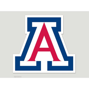 Arizona 8x8 Color Die Cut Window Decal