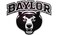Wincraft Baylor University S7630118 Chrome Free Form Auto Emblem