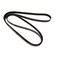 Continental - Goodyear - Poly-V Belt (4060562F)