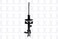 FCS 333569L Suspension Strut Assembly