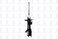 FCS 333529L Suspension Strut Assembly
