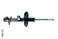 FCS 331595L Suspension Strut