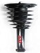Complete Strut Assembly