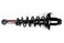 Complete Strut Assembly