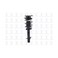 FCS Complete Strut Assembly