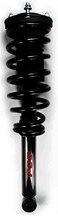 FCS Complete Strut Assembly