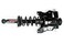 FCS Complete Strut Assembly