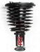 Complete Strut Assembly