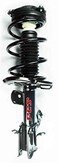 FCS Complete Strut Assembly