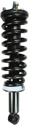 Complete Strut Assembly