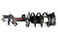 FCS Complete Strut Assembly