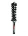 FCS 1345558L Complete Strut Assembly